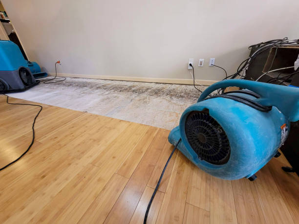 Professional Water Damage Repair technician working in Frisco, CO
